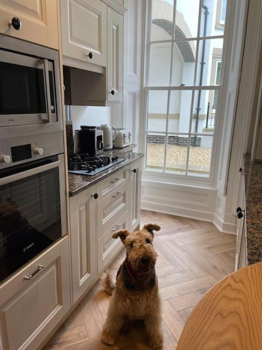 Whitehall, Thomas Turnbull Flat 3 Beautiful Apartment In Georgian House วิทบี ภายนอก รูปภาพ